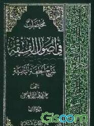 محاضرات فی اصول الفقه (جلد 2)