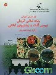 نظام جدید آموزش کارکنان دولت پودمان‌های آموزشی مشاغل وزارت جهاد کشاورزی رشته شغلی کاردان بررسی آفات و بیماری‌های گیاهی