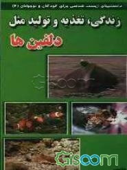 زندگی، تغذیه و تولید مثل دلفینها