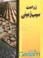 زراعت سیب‌زمینی