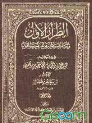 الطراز الاول و الکناز لما علیه من لفه العرب المعول (جلد 1)