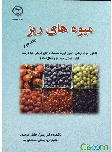 میوه‌های ریز (انگور، توت‌فرنگی، کیوی فروت، تمشک، انگور فرنگی حبه درشت، انگور فرنگی حبه ریز و ذغال اخته)