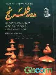 مدرسه شطرنج: تاریخ و تئوری شروع، بازی ترکیبی و پوزیسیونی: وسط بازی، تئوری و پراتیک آخر بازی
