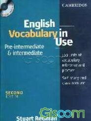 English vocabulary in use: pre-intermediate and intermediate