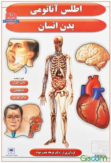 اطلس آناتومی بدن انسان