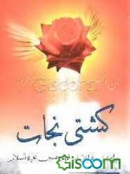 کشتی نجات (پیرامون عنایاتی از امام حسین علیه‌السلام)