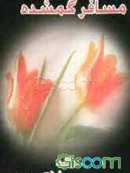 مسافر گمشده