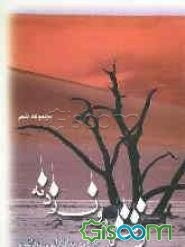 وقت بارون زدنه (مجموعه شعر)