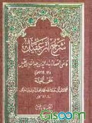 شرح ابن‌ عقیل (جلد 1)