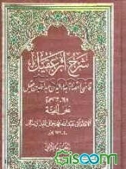 شرح ابن‌ عقیل (جلد 2)