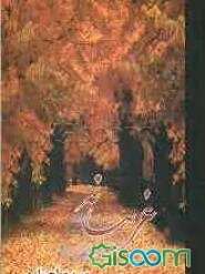 غریبانه (مجموعه شعر)