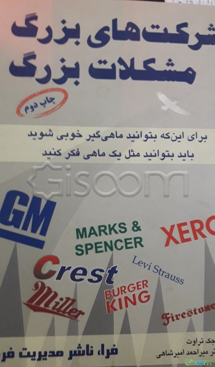 شرکت‌های بزرگ، مشکلات بزرگ: مجموعه‌ای از راهکارهای اجرائی در مورد مدیریت نام‌های تجاری (براساس قضیه‌های مدیریتی واقعی)