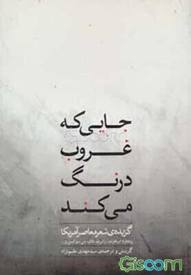 جایی که غروب درنگ می کند: گزیده‌ی شعر معاصر آمریکا