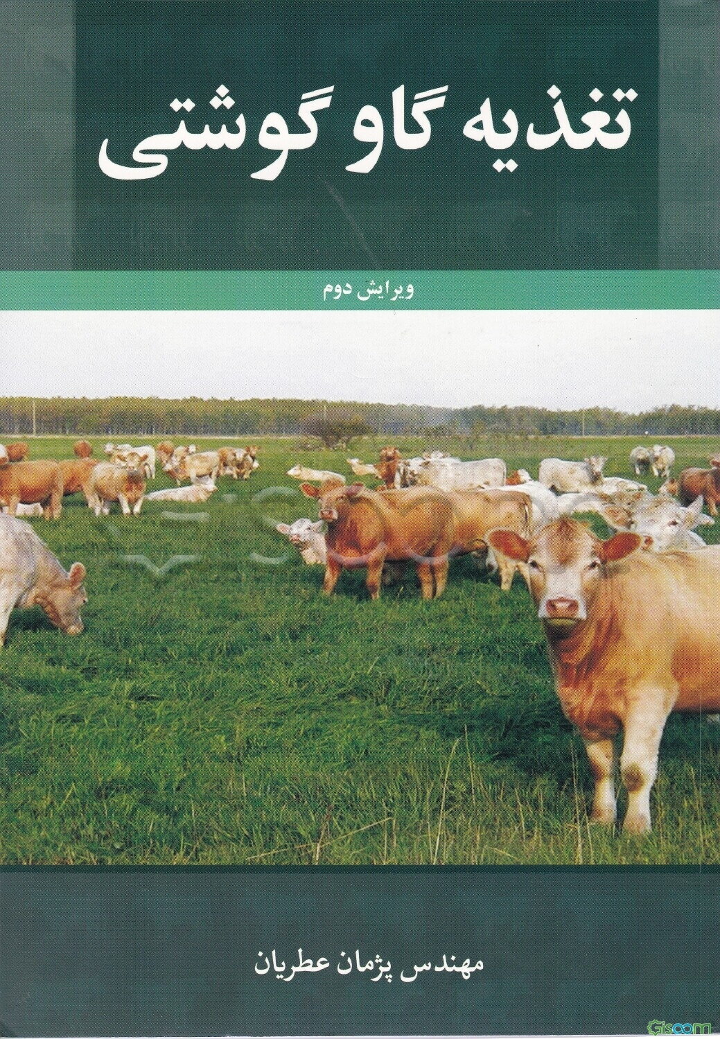 تغذیه علمی و عملی گاو گوشتی