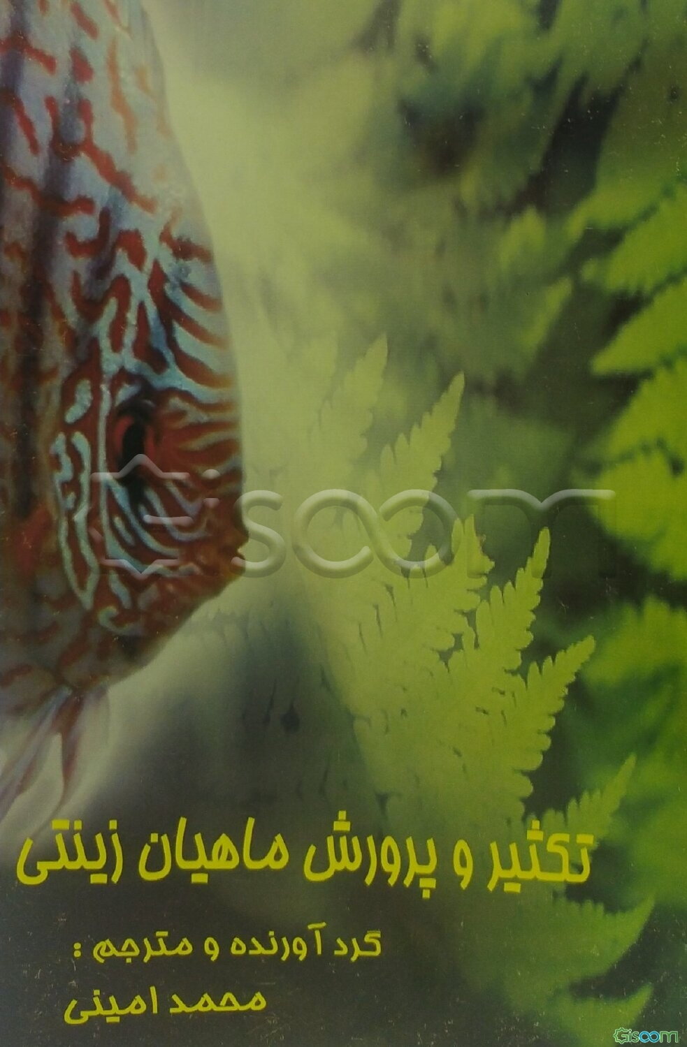 تکثیر و پرورش ماهیان زینتی: تایگر بارب، دم‌شمشیری، گورامی، تتراجواهر، آنجل، بارب حلب، آروانای طلائی