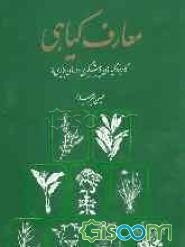 معارف گیاهی: کاربرد گیاهان در پیشگیری و درمان بیماری‌ها: با ارائه آخرین تحقیقات علمی محققان و دانشمندان جهان (جلد 6)