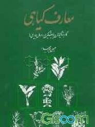 معارف گیاهی: کاربرد گیاهان در پیشگیری و درمان بیماری‌ها: با ارائه آخرین تحقیقات علمی محققان و دانشمندان جهان (جلد 5)