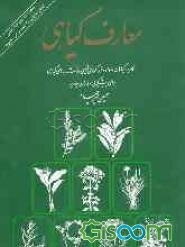 معارف گیاهی: کاربرد گیاهان در پیشگیری و درمان بیماری‌ها: با ارائه آخرین تحقیقات علمی محققان و دانشمندان جهان (جلد 8)