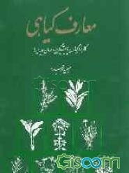 معارف گیاهی: کاربرد گیاهان در پیشگیری و درمان بیماری‌ها: با ارائه آخرین تحقیقات علمی محققان و دانشمندان جهان (جلد 2)