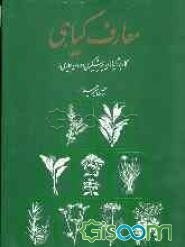 معارف گیاهی: کاربرد گیاهان در پیشگیری و درمان بیماری‌ها: با ارائه آخرین تحقیقات علمی محققان و دانشمندان جهان (جلد 1)