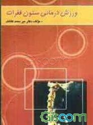 ورزش‌درمانی ستون فقرات