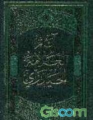 التوحید: بحوث تحلیلیه فی مراتبه و معطیاته: تقریرا للدروس السید کمال الحیدری (جلد 2)