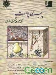 پیری پوست: مکانیسم، پیشگیری، درمان