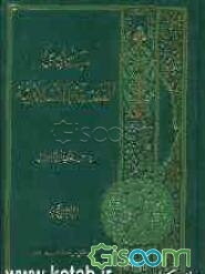 مبادی الفلسفه الاسلامیه (جلد 2)