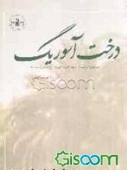 درخت آسوریک