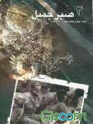 صبر جمیل: گزیده‌ای از وصایای شهیدان استان همدان با موضوع "صبر و پایداری" و "الهی‌نامه‌ها"