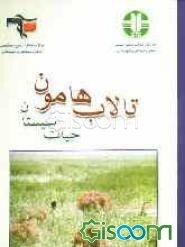 تالاب هامون حیات سیستان