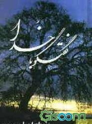 گفتگو با خدا