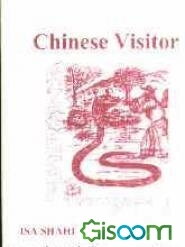 Chinese visitor