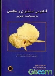 آناتومی استخوان و مفاصل با اصطلاحات آناتومی