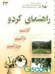 راهنمای گردو: کاشت، داشت و برداشت