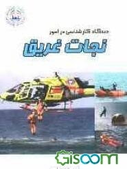 دیدگاه کارشناسی در امور نجات غریق