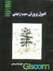 اصول پرورش سیب‌زمینی