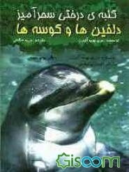 دلفین‌ها و کوسه‌ها