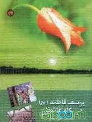 یوسف فاطمه (س) در نگاه عاشقان (ملاقات با معشوق)