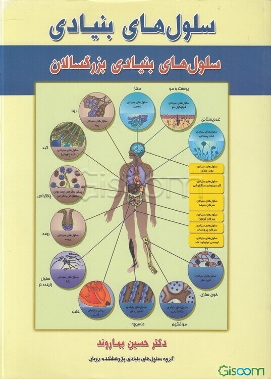 سلول‌های بنیادی: سلول‌های بنیادی بزرگسالان