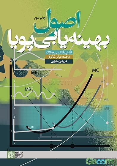 اصول بهینه‌یابی پویا