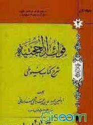 فوائد الحجتیه: شرح کتاب سیوطی (جلد 2)