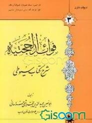 فوائد الحجتیه: شرح کتاب سیوطی (جلد 3)