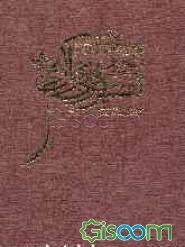 ترجمه و تفسیر عرفانی قرآن کریم: معروف به تفسیر خواجه عبدالله انصاری (جلد 2)