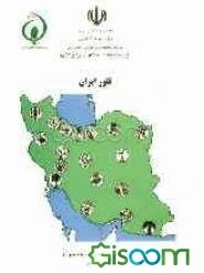 فلور ایران: شماره 61: تیره دم اسبیان (Equisetaceae)