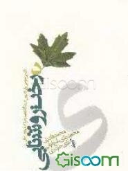 درخت روشنایی: فارسی عمومی برای تدریس در دانشگاهها و مراکز آموزش عالی