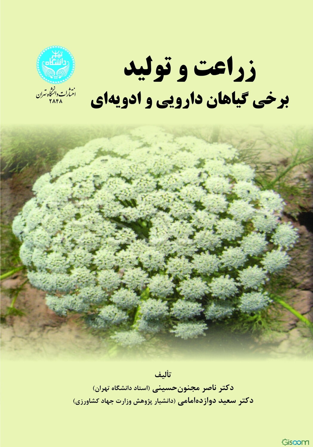 زراعت و تولید برخی گیاهان دارویی و ادویه‌ای