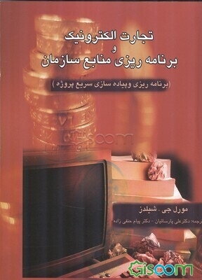 تجارت الکترونیک: برنامه‌ریزی منابع سازمان