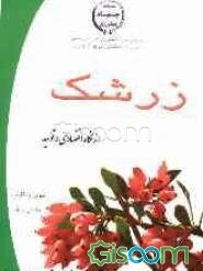 زرشک از نگاه اقتصادی و تولید