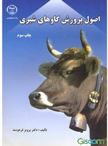 پرورش گاو شیری